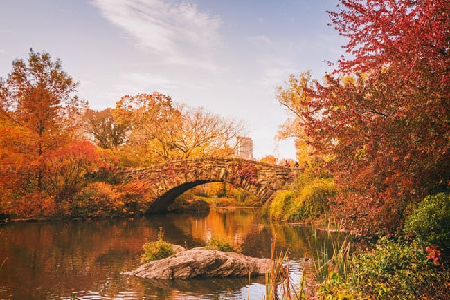 fall foliage Gapstow Bridge