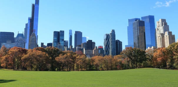 fall foliage Sheep Meadow NYC