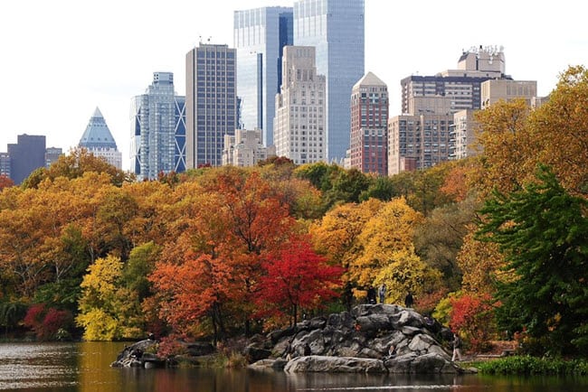 fall foliage The Reservoir NYC