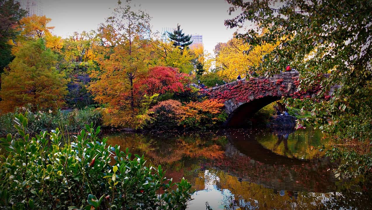 New York City in the Fall