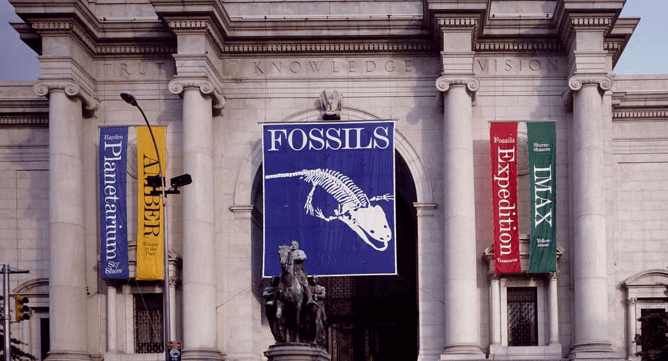 30 Best Museums In New York City